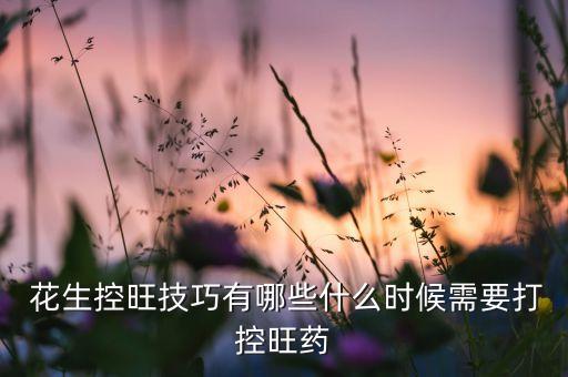  花生控旺技巧有哪些什么時候需要打控旺藥