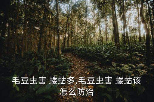 毛豆蟲害 螻蛄多,毛豆蟲害 螻蛄該怎么防治