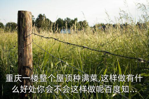 重慶一樓整個屋頂種滿菜,這樣做有什么好處你會不會這樣做呢百度知...