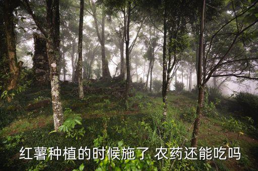 為什么紅薯沒有農(nóng)藥殘留,紅薯農(nóng)藥殘留高不能吃是真的嗎