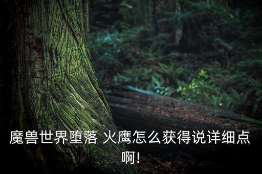 魔獸世界墮落 火鷹怎么獲得說詳細點啊!