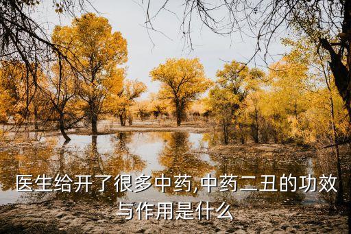 醫生給開了很多中藥,中藥二丑的功效與作用是什么
