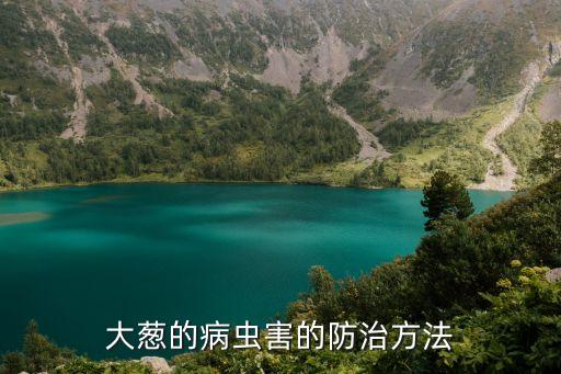 澤蔥打什么農藥防蟲害,蔥上打什么農藥