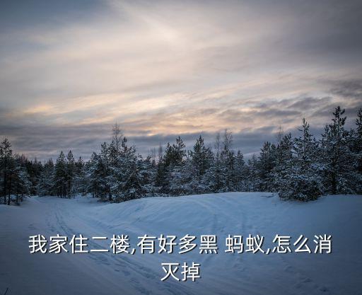 什么農(nóng)藥可以殺滅蝸牛,殺滅黑螞蟻用什么農(nóng)藥
