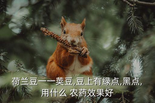 豆類用什么農藥,豆類不能和什么一起吃