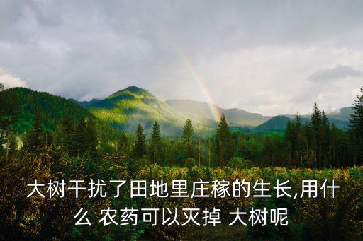  大樹干擾了田地里莊稼的生長,用什么 農(nóng)藥可以滅掉 大樹呢