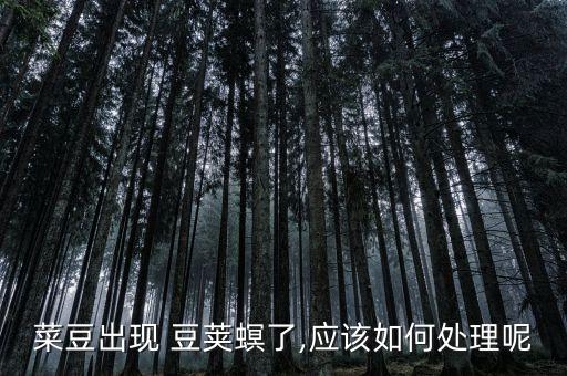 菜豆出現 豆莢螟了,應該如何處理呢