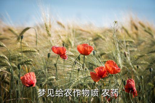  夢(mèng)見(jiàn)給農(nóng)作物噴 農(nóng)藥