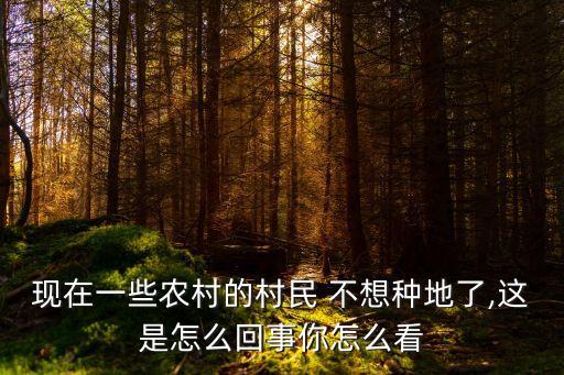 現在一些農村的村民 不想種地了,這是怎么回事你怎么看