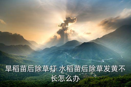 水稻黃葉打什么農藥,黃葉病用什么農藥