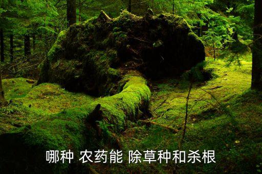 白草除草用什么農(nóng)藥,什么農(nóng)藥除草效果最好