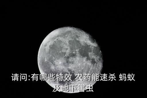 什么農藥打螞蟻最快最好,螞蟻用什么農藥可以除掉它