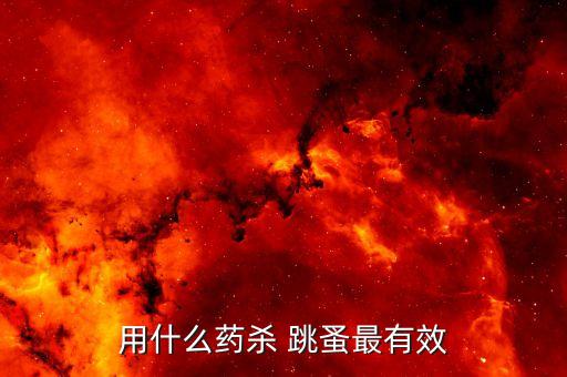 用什么藥殺 跳蚤最有效