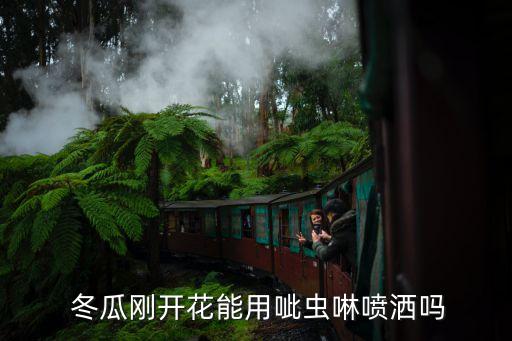  冬瓜剛開(kāi)花能用呲蟲(chóng)啉噴灑嗎