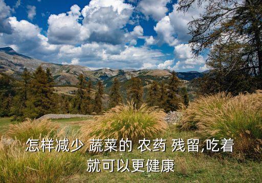 蔬菜都放什么農藥殘留少,怎樣去除蔬菜上的農藥殘留