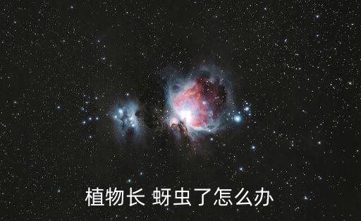 花上的蚜蟲用什么農(nóng)藥,除蚜蟲用什么農(nóng)藥