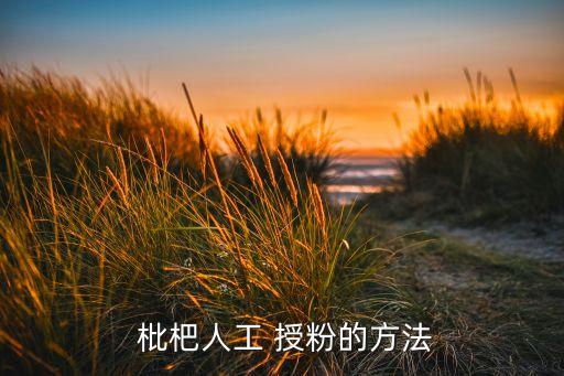  枇杷人工 授粉的方法