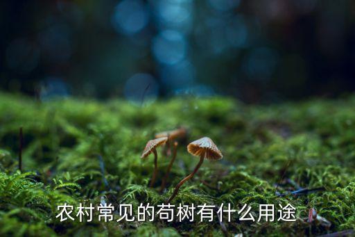 農(nóng)村常見(jiàn)的茍樹(shù)有什么用途