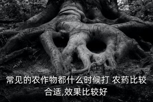 常見的農作物都什么時候打 農藥比較合適,效果比較好