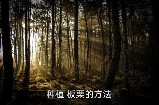 板栗花期間用什么農藥,板栗樹用什么農藥