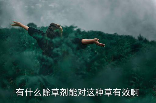 節(jié)節(jié)草打什么農(nóng)藥,打節(jié)節(jié)草用什么除草劑最好