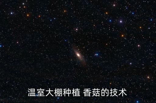 香菇什么時(shí)候可以打農(nóng)藥