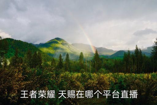  王者榮耀 天賜在哪個平臺直播