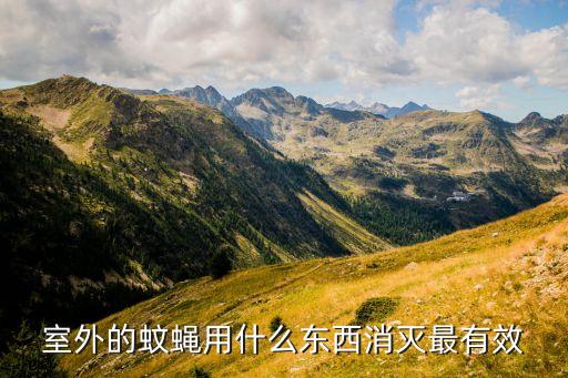 滅蚊用什么農藥效果好,滅蠅滅蚊用什么農藥