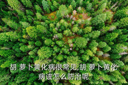 胡 蘿卜黃化病很常見,胡 蘿卜黃化病該怎么防治呢