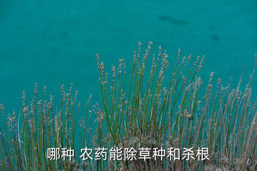 哪種 農藥能除草種和殺根