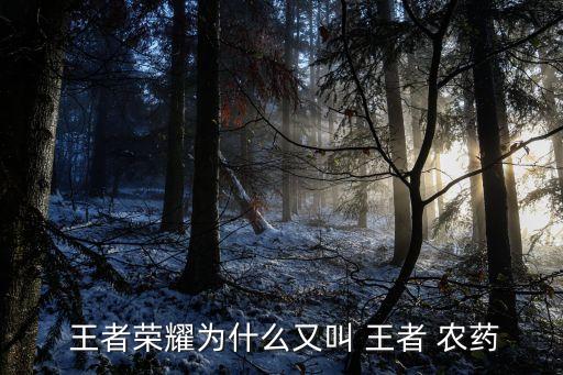 王者農藥天賜是什么意思,王者榮耀為什么叫農藥什么意思
