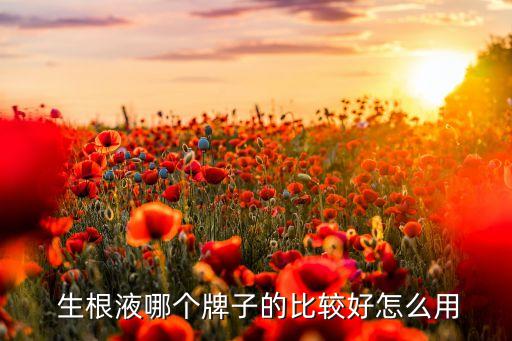  生根液哪個牌子的比較好怎么用