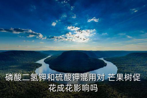 噴芒果樹用什么農藥,芒果樹炭疽病特效農藥
