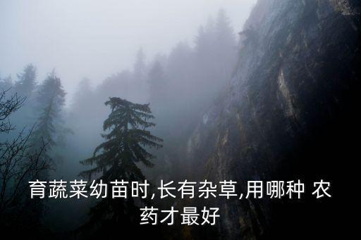 什么農藥殺草不傷苗子根,殺節(jié)節(jié)草用什么農藥