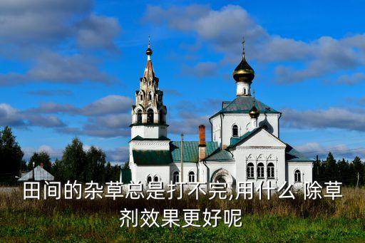 田間的雜草總是打不完,用什么 除草劑效果更好呢