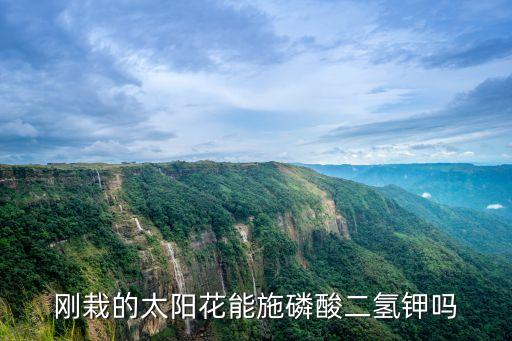向日葵不能用什么農藥,鋅不能和什么農藥一起使用
