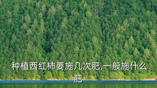  種植西紅柿要施幾次肥,一般施什么肥