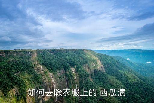 西瓜用什么洗掉農藥味,西瓜一般打什么農藥
