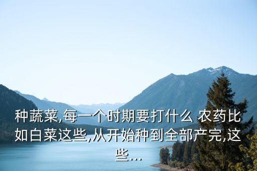 小白菜出土打什么農藥