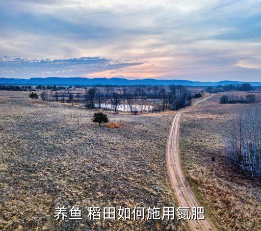 什么農(nóng)藥不傷稻田魚糞蟲,蝦稻田打什么農(nóng)藥