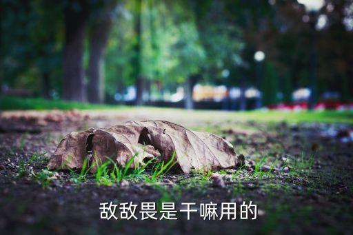 敵敵畏農藥是防治什么的,和敵敵畏差不多的農藥叫什么