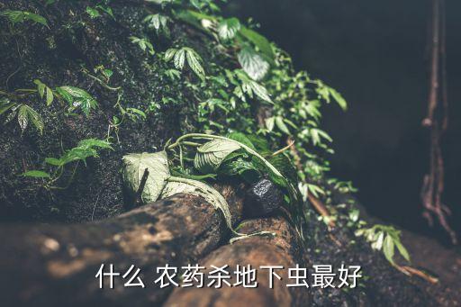什么 農藥殺地下蟲最好