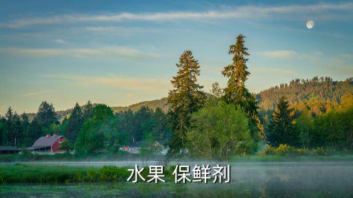  水果 保鮮劑