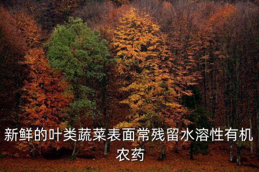 新鮮的葉類蔬菜表面常殘留水溶性有機(jī) 農(nóng)藥