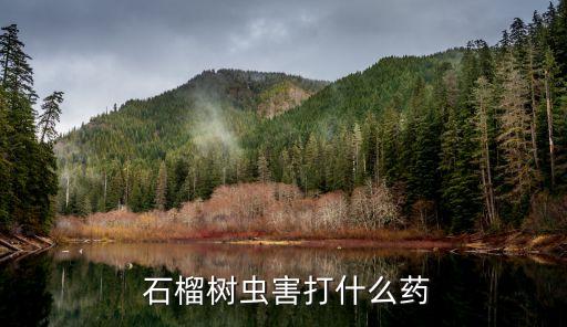 石榴樹上打什么農藥好,石榴用什么農藥保果