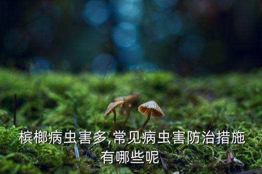 檳榔得黃葉病打什么農藥,檳榔黃葉用什么藥打