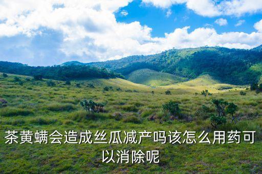 茶黃螨會造成絲瓜減產嗎該怎么用藥可以消除呢