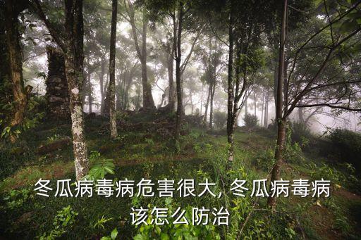 冬瓜不能?chē)娛┦裁崔r(nóng)藥最好