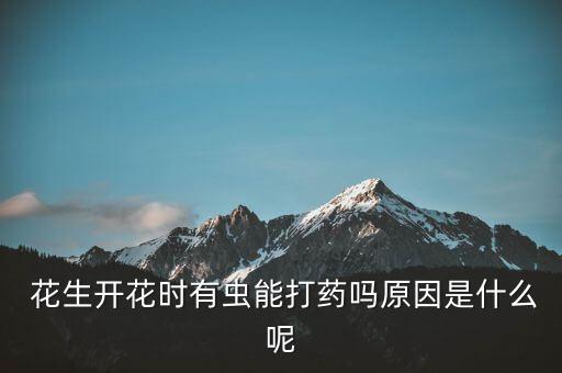  花生開花時有蟲能打藥嗎原因是什么呢