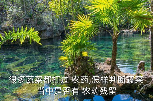 很多蔬菜都打過 農(nóng)藥,怎樣判斷蔬菜當(dāng)中是否有 農(nóng)藥殘留